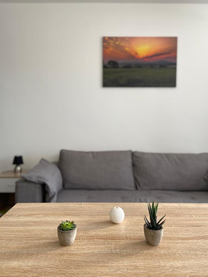 Grand Studio Confortable Et Spacieux Avec Terrasse Villeneuve-les-Maguelonne Bagian luar foto
